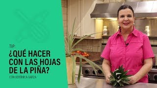 ¿Qué hacer con las hojas de la piña [upl. by Eitisahc]