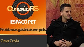 Espaço Pet problemas gástricos em pets o que fazer [upl. by Enyallij]