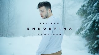 Filipek  Endorfina prod PSR [upl. by Juana]