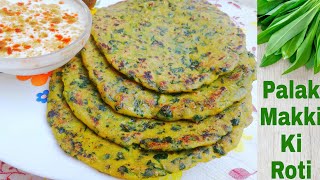 Makki ki roti with palak  Palak Makki ki roti  spicy corn meal indian flat bread recipe [upl. by Stilwell]