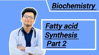 Fatty acid synthesis part 2 [upl. by Yecam]