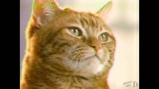 Friskies Cat Food Commercial 1992 [upl. by Annecorinne463]