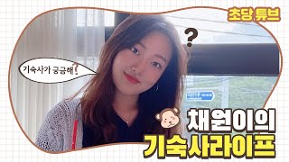 VLOG  초당대학교 입학홍보대사 나봄채원이의 일상♥ [upl. by Fritz991]