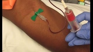 Phlebotomy Procedure Venipuncture with 21G Butterfly education phlebotomy tutorials [upl. by Eidoc825]