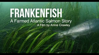 Frankenfish A Farmed Atlantic Salmon Story by Annie Crawley [upl. by Adlen]