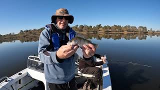 Winter Redfin Perch Fishing  Lake Eppalock [upl. by Eresed]