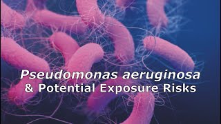 Pseudomonas aeruginosa and Potential Exposure Risks [upl. by Rammaj48]