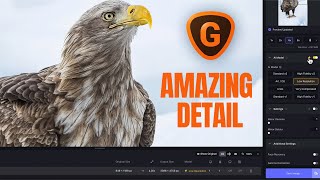 How to use Topaz Gigapixel AI  Beginners Tutorial [upl. by Adlitam909]