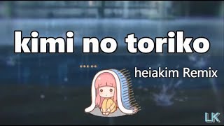 heiakim Remix kimi no toriko [upl. by Weidner]