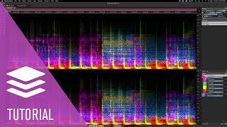 Five Essential Tools in Five Minutes  SpectraLayers 9 Tutorials [upl. by Sueaddaht]