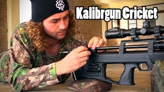 Kalibrgun Cricket 177  Thoughts amp Opinions Part 1 [upl. by Layla]