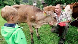 WieWirLeben  Urlaub am Bauernhof Kärnten 🐮 [upl. by Assiroc905]