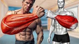 6 Best Brachioradialis Exercises [upl. by Efrem]