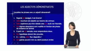 Les Adjectifs Démonstratifs   UPV [upl. by Cesar]