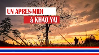 Khao Yai Thaïlande et elles sont des millions [upl. by Kathe]