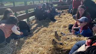 Riding a Hay Ride for Fall Fun at Farms View Roadstand in Wayne New Jersey hayride farm [upl. by Normi]