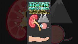 Carbonic Anhydrase Inhibitor Facts [upl. by Htezil173]