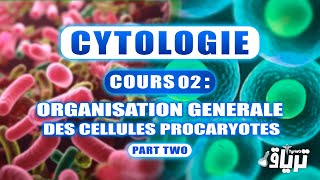 CYTOLOGIE 1ère année  Organisation Générale de la Cellule Procaryote  Partie 2 [upl. by Hildebrandt]