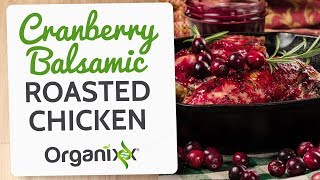 Cranberry Balsamic Roasted Chicken  Organixx Recipe [upl. by Evelinn661]