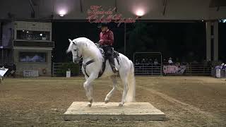 Feria del caballo Español mayo 2023 finales [upl. by Abehshtab124]