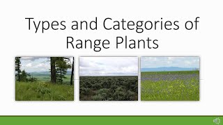 Rangeland Plant Basics [upl. by Oiracam308]