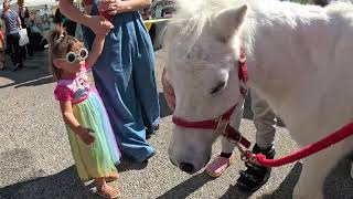 Lt Rowdy at Simi Valley Street Fair 4 of 10 102624 [upl. by Arimat]