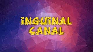 inguinal canal anatomypptvideo lecturembbs [upl. by Kippy]