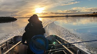 Torskejakt i Varanger [upl. by Schwing987]