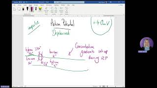 Resting potential and action potential [upl. by Kippie]