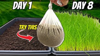 The FASTEST Way to Grow Grass Seed Pregermination Secrets REVEALED [upl. by Netnert]