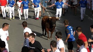 TERCER ENCIERRO TAFALLA 17082024  RETA DE CASTA NAVARA [upl. by Namya236]