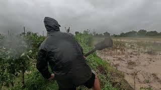 Pagapaw ng Pampanga River  Kailangan Gawan ng Paraan ang mga Tanim sa Bukid [upl. by Gereron521]