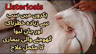 Listeriosis in goat treatment  Cattle  GID  Meningitis  Vet Experts  Dr Abdullah  Dr Aziz [upl. by Wilsey]