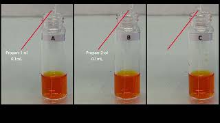 Oxidation of Alcohols and Breathalyzer [upl. by Olag]