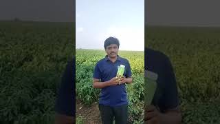 iplbiologicals 5g biostimulant agriculture sustainablefarming [upl. by Yrad]