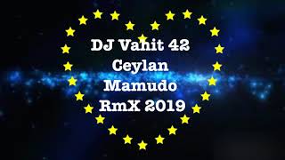 Dj Vahit 42 VS Ceylan  Mamudo RmX [upl. by Toddy]