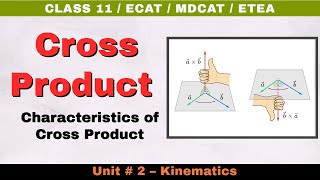 Cross Product  Vector Product Characteristics  Unit 2 Kinematics  Class 11 Physics TP11 21 [upl. by Annawik]