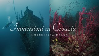 IMMERSIONI IN CROAZIA  MOSCENICKA DRAGA  Relitto vs Gorgonie [upl. by Sanfourd]