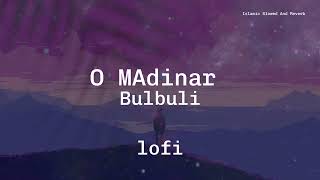 O Madinar Bulbuli  ও মদিনার বুলবুলি I Kalarab Shilpigosthi  LOFI Nasheed  Slowed And Reverb [upl. by Nolur22]