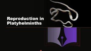 Phylum Platyhelminthes  Reproduction in Platyhelminthes [upl. by Marentic912]