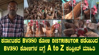 CALL  9880426984 ಕರ್ನಾಟಕದ BV380 ಕೋಳಿಗಳ DISTRIBUTOR ಕಡೆಯಿಂದ BV380 ಕೋಳಿಗಳ ಬಗ್ಗೆ A to Z ಮಾಹಿತಿ [upl. by Notlimah450]