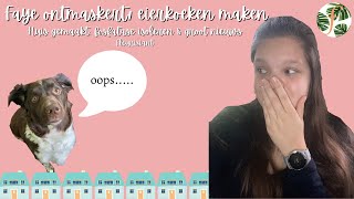 Faye ontmaskert en eierkoeken  Fleurisiant [upl. by Yenroc586]