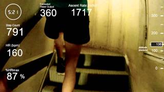 Sydney Tower Stair Challenge 2014 supporting Giant Steps [upl. by Lubow]