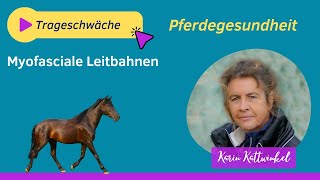 Myofasciale Leitbahnen  OnlineSeminare mit Gloria Grothe  Pferdegesundheit  Karin Kattwinkel [upl. by Itram]