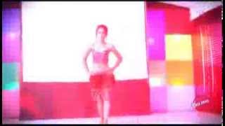 Hungama Hungama Gate Pass  NEW MOVIE ITEAM SONG 2014 [upl. by Einnij]