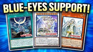 BlueEyes Has 4 New Support Cards [upl. by Valentine]