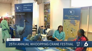 The Whooping Crane Festival welcomes back the endangered bird [upl. by Yar248]