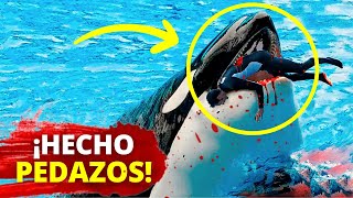 😱 Una Orca DEVORA Brutalmente a su Entrenador Alexis Martínez [upl. by Whitaker534]