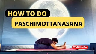 Paschimottanasana Mastering the Forward Bend  Yoga Tutorial [upl. by Olimpia]