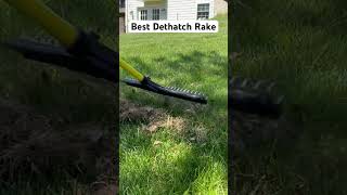 The BEST Dethatching Rake shorts lawncare [upl. by Asim]